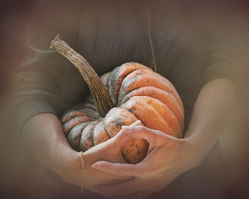 1122体育：为体育爱好者提供最新赛事资讯与分析