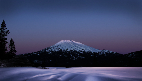 196..com的成功秘诀：如何在竞争中脱颖而出