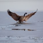 196.com的历史与发展:从创立到如今的演变 l2r4pa