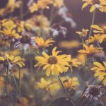 2185期震撼开奖结果今日正式揭晓 0ne53