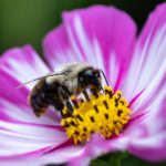 004期大乐透开奖结果公布:幸运号码揭晓时刻 0o4k8jrul2