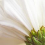 EDG激战SKT巅峰对决直播,谁能问鼎冠军宝座? 18zhczk