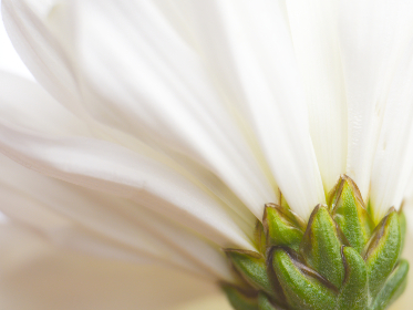 EDG激战SKT巅峰对决直播，谁能问鼎冠军宝座？