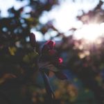 2160开奖结果最新公布,速来查看中奖详情 9q5ty0v