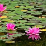 elta体育直播:精彩赛事尽在elta体育直播平台 h7tjj