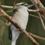 002期开奖记录完整公布,最新中奖号码揭晓 luat9