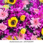 21日乒乓球比赛直播精彩对决不容错过 plsjo7u9d