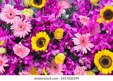 21日乒乓球比赛直播精彩对决不容错过