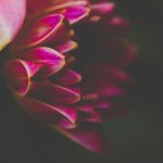 21选五最新开奖结果今日公布查询 z6ny8y5